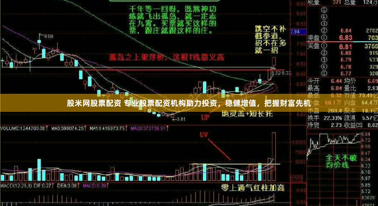 股米网股票配资 专业股票配资机构助力投资，稳健增值，把握财富先机