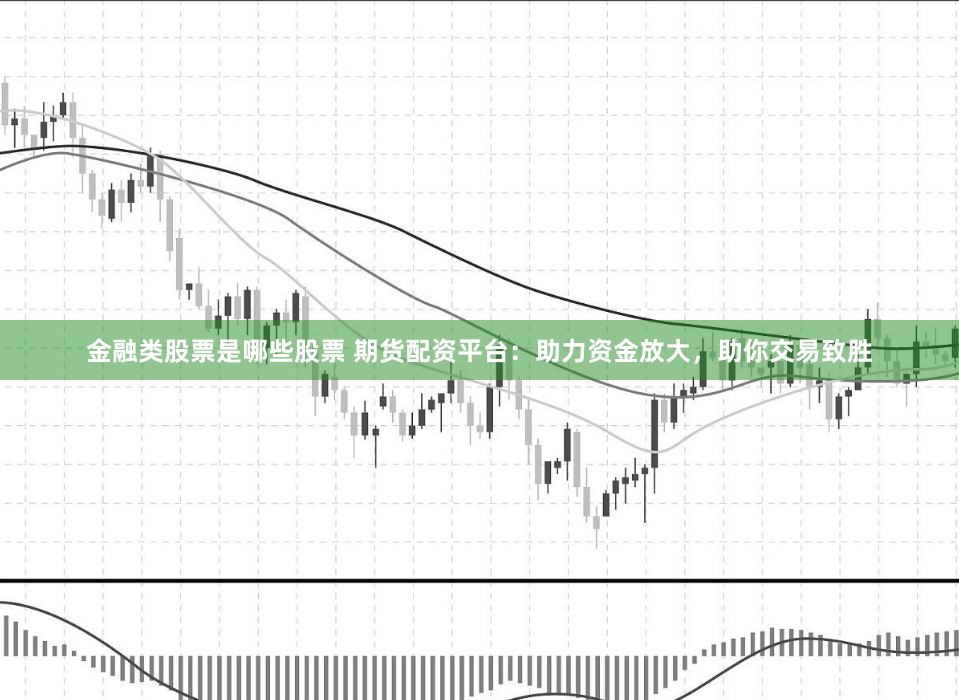 金融类股票是哪些股票 期货配资平台：助力资金放大，助你交易致胜