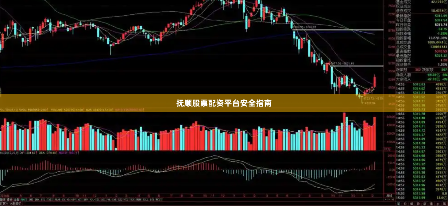 抚顺股票配资平台安全指南