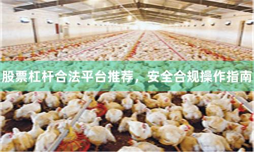 股票杠杆合法平台推荐，安全合规操作指南